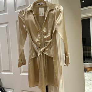 Intermix silk shirt dress